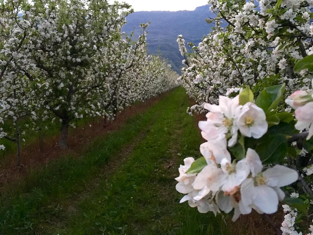 Arcovacanze Εξωτερικό φωτογραφία